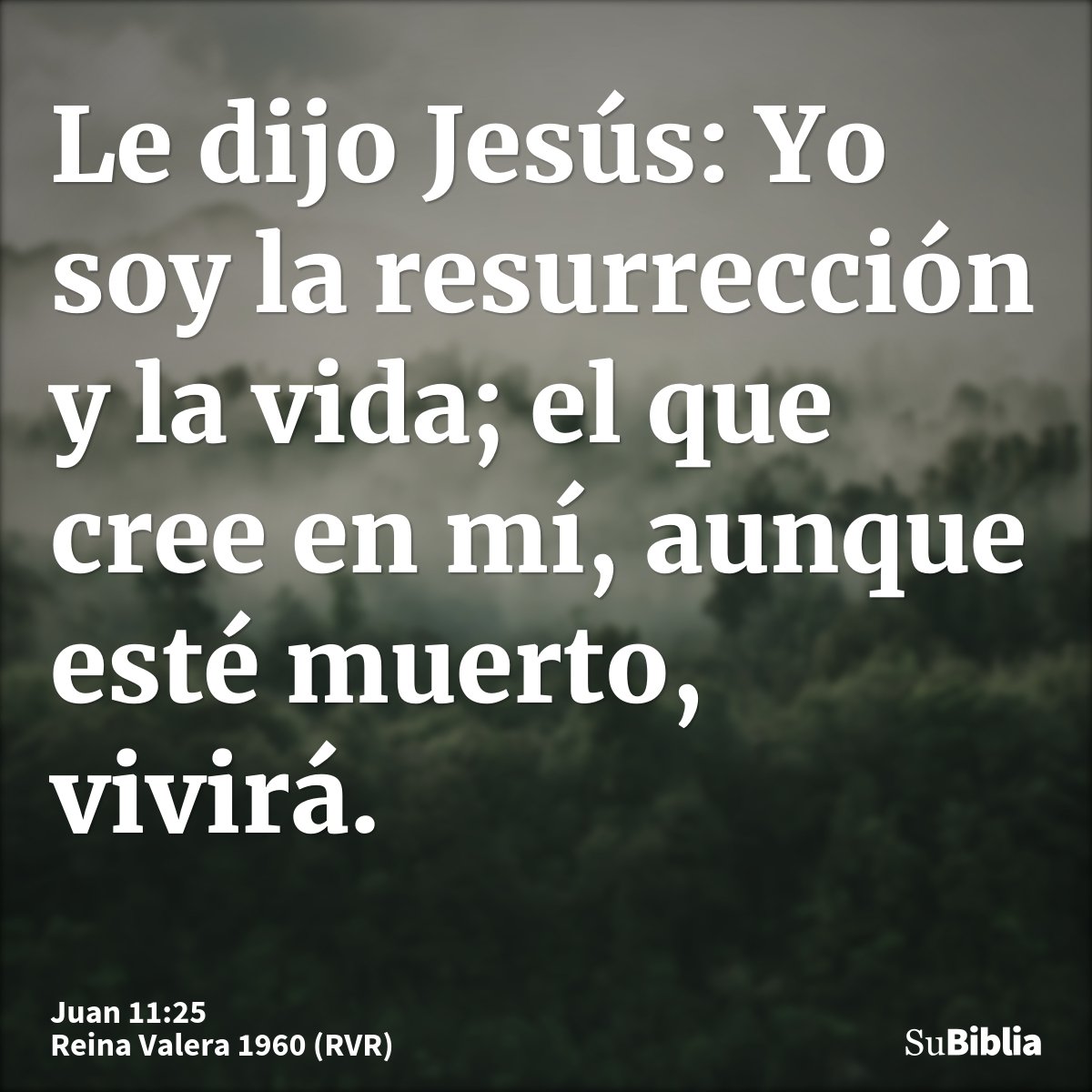 Le dijo Jesús: Yo soy la resurrección y la vida; el que cree en mí, aunque esté muerto, vivirá.
