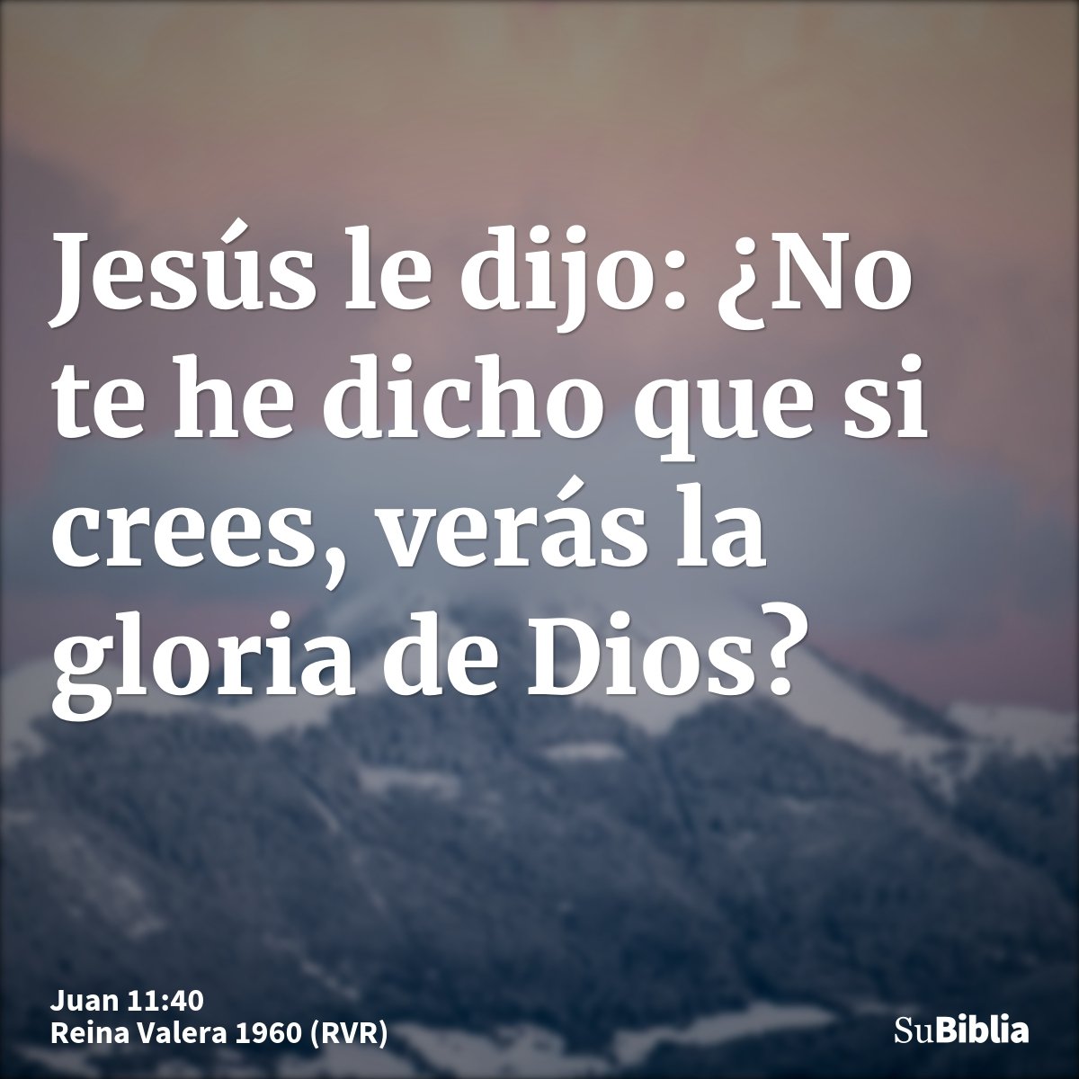 Jesús le dijo: ¿No te he dicho que si crees, verás la gloria de Dios?