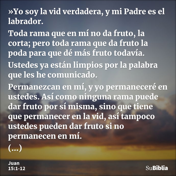 »Yo soy la vid verdadera, y mi Padre es el labrador. Toda rama que en mí no da fruto, la corta; pero toda rama que da fruto la poda para que dé más fruto todaví... --- Juan 15:1