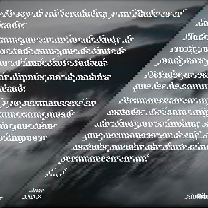 »Yo soy la vid verdadera, y mi Padre es el labrador. Toda rama que en mí no da fruto, la corta; pero toda rama que da fruto la poda para que dé más fruto todaví... --- Juan 15:1