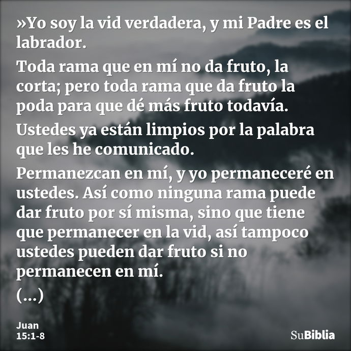 »Yo soy la vid verdadera, y mi Padre es el labrador. Toda rama que en mí no da fruto, la corta; pero toda rama que da fruto la poda para que dé más fruto todaví... --- Juan 15:1