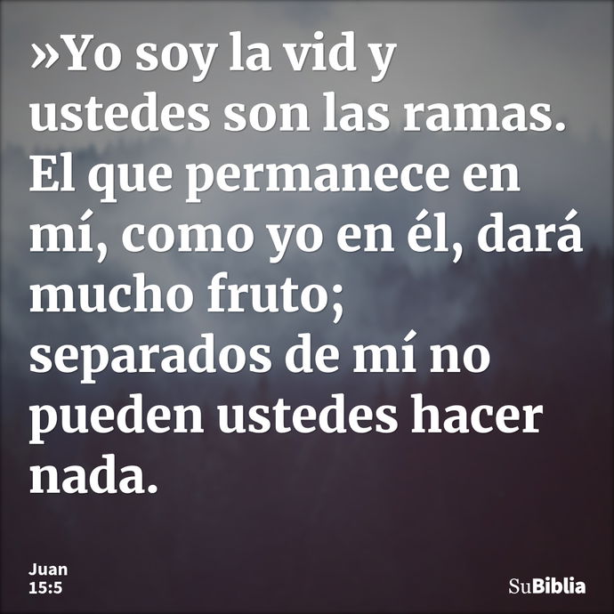 »Yo soy la vid y ustedes son las ramas. El que permanece en mí, como yo en él, dará mucho fruto; separados de mí no pueden ustedes hacer nada. --- Juan 15:5