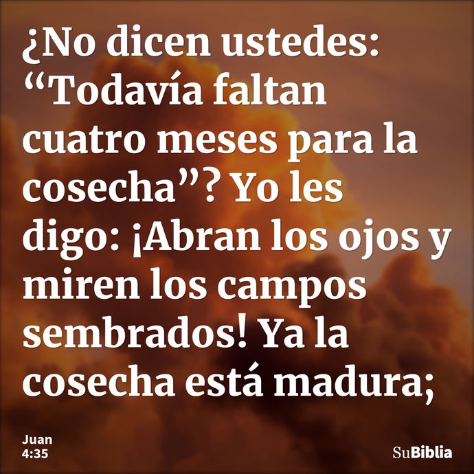 ¿No dicen ustedes: “Todavía faltan cuatro meses para la cosecha”? Yo les digo: ¡Abran los ojos y miren los campos sembrados! Ya la cosecha está madura; --- Juan 4:35