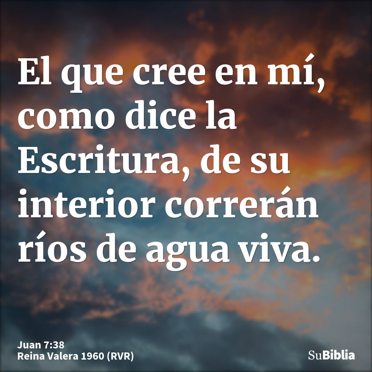 Juan 738 Biblia 9575