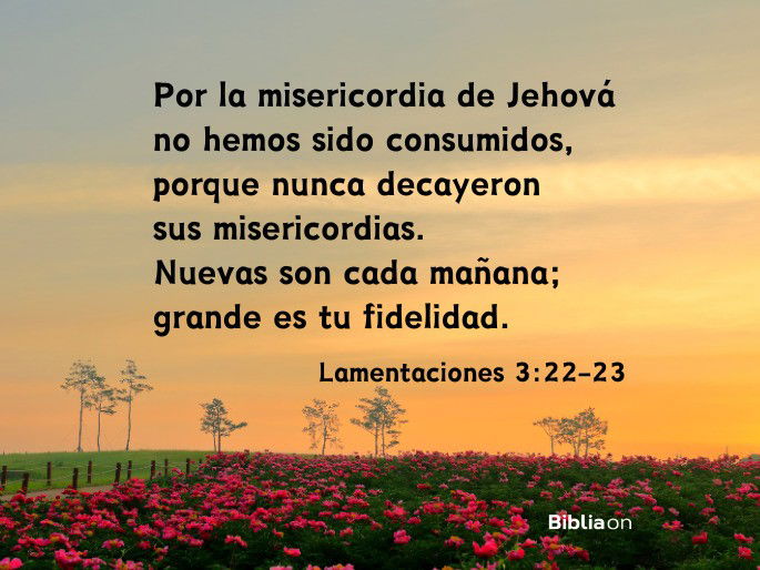 Por la misericordia de Jehová no hemos sido consumidos, porque nunca decayeron sus misericordias. Nuevas son cada mañana; grande es tu fidelidad. (Lamentaciones 3:22-23)