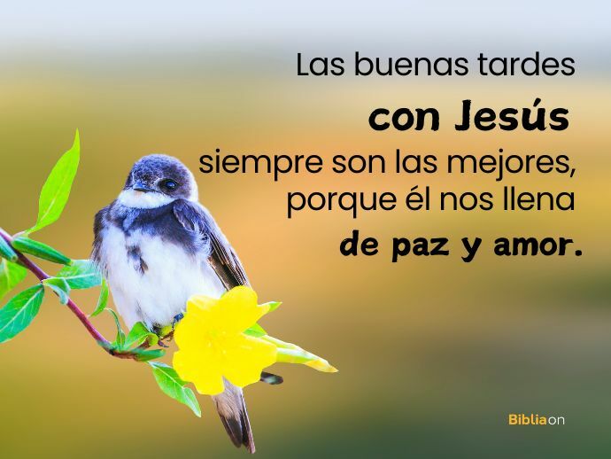 Las buenas tardes con Jesús siempre son las mejores, porque él nos llena de paz y amor.