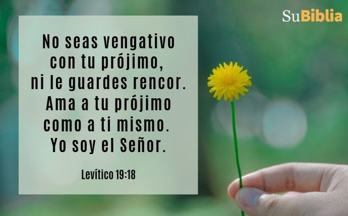 No seas vengativo con tu prójimo, ni le guardes rencor. Ama a tu prójimo como a ti mismo. Yo soy el Señor. (Levítico 19:18)