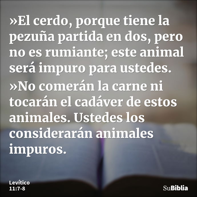 »El cerdo, porque tiene la pezuña partida en dos, pero no es rumiante; este animal será impuro para ustedes. »No comerán la carne ni tocarán el cadáver de estos... --- Levítico 11:7