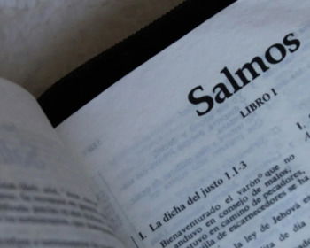 Resumen explicado del libro de los Salmos (estudio bíblico)