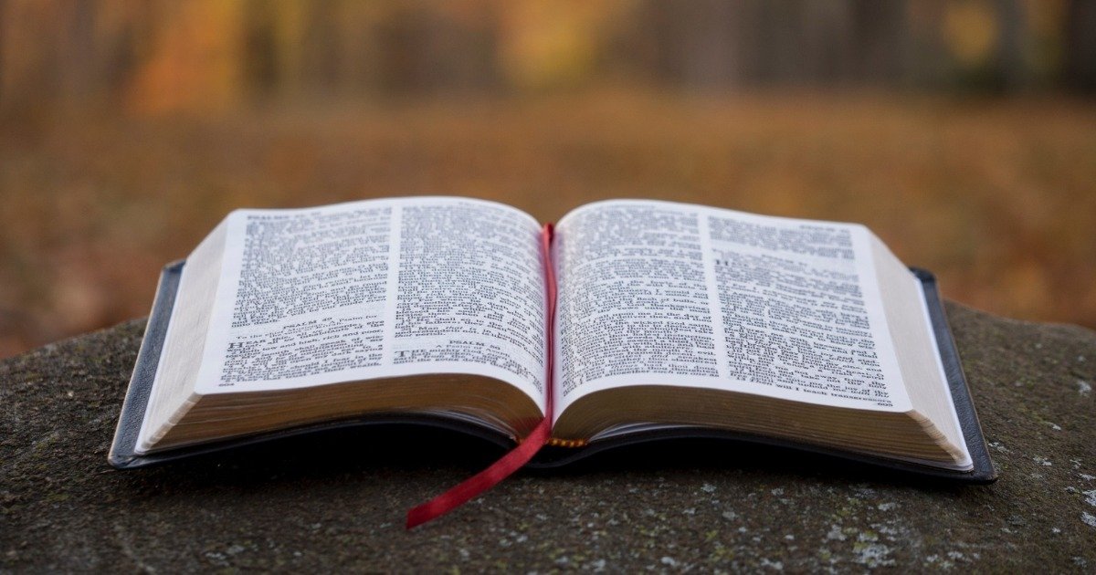 Los libros de la Biblia, cómo están organizados y de qué hablan - Biblia