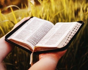 Libros del Nuevo Testamento: cuántos y cuáles son
