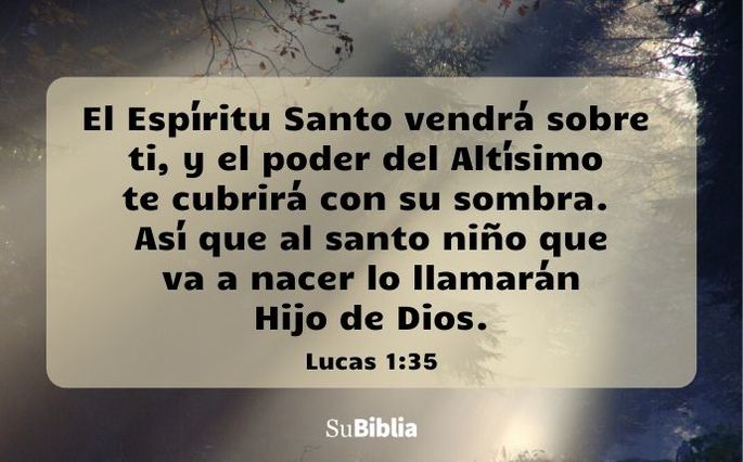 El Espíritu Santo vendrá sobre ti, y el poder del Altísimo te cubrirá con su sombra. Así que al santo niño que va a nacer lo llamarán Hijo de Dios. (Lucas 1:35)