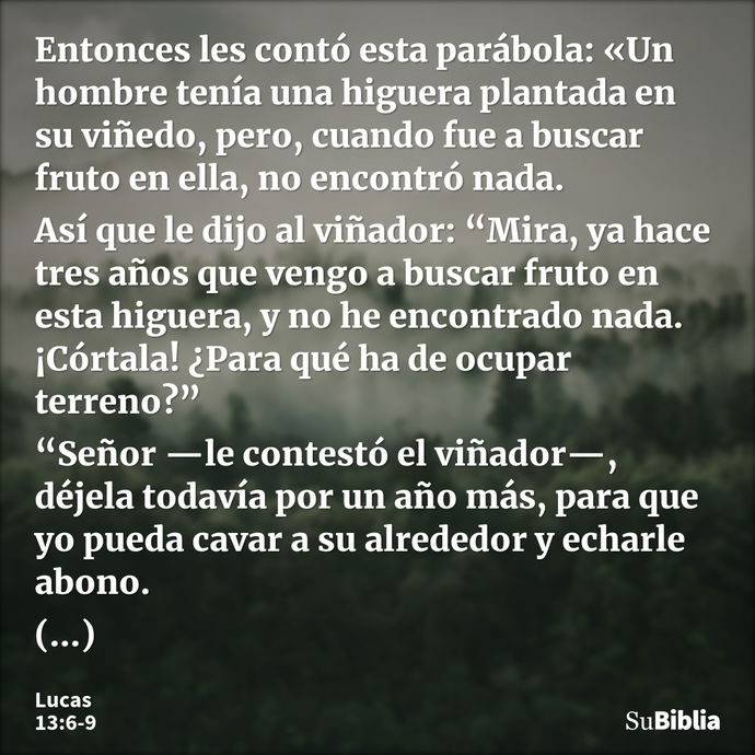 Entonces les contó esta parábola: «Un hombre tenía una higuera plantada en su viñedo, pero, cuando fue a buscar fruto en ella, no encontró nada. Así que le dijo... --- Lucas 13:6