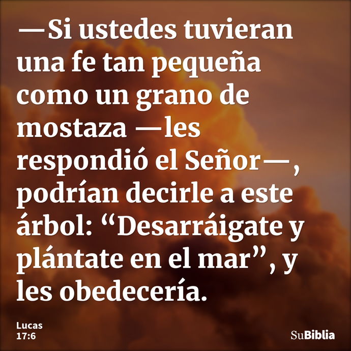 —Si ustedes tuvieran una fe tan pequeña como un grano de mostaza —les respondió el Señor—, podrían decirle a este árbol: “Desarráigate y plántate en el mar”, y... --- Lucas 17:6