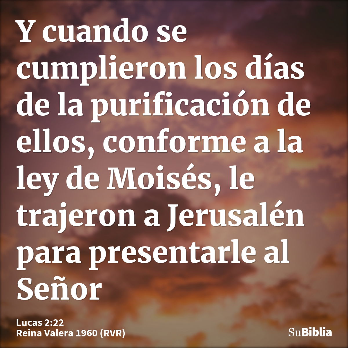 Y cuando se cumplieron los días de la purificación de ellos, conforme a la ley de Moisés, le trajeron a Jerusalén para presentarle al Señor