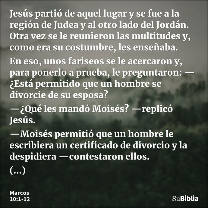 Jesús partió de aquel lugar y se fue a la región de Judea y al otro lado del Jordán. Otra vez se le reunieron las multitudes y, como era su costumbre, les enseñ... --- Marcos 10:1