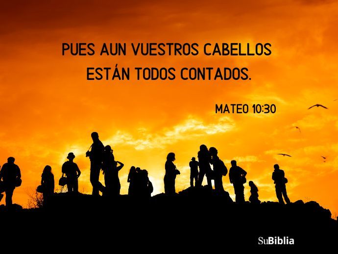 Pues aun vuestros cabellos están todos contados. (Mateo 10:30)