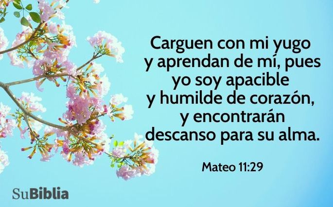 Mateo 11:29