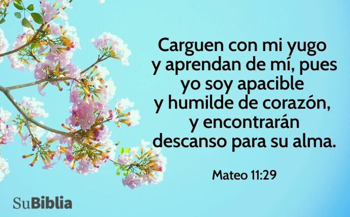 Carguen con mi yugo y aprendan de mí, pues yo soy apacible y humilde de corazón, y encontrarán descanso para su alma. (Mateo 11:29)