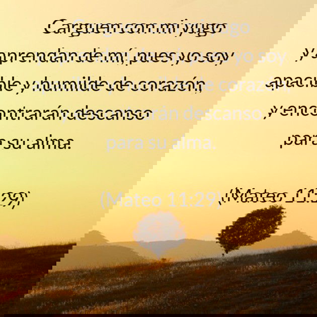 Podemos encontrar verdadero descanso en Jesús. Carguen con mi yugo y aprendan de mí, pues yo soy apacible y humilde de corazón, y encontrarán descanso para su alma. (Mateo 11:29)