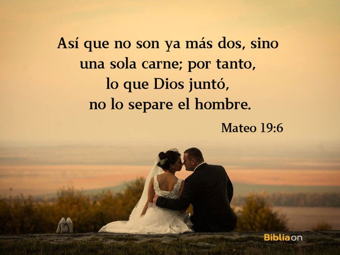 Así que no son ya más dos, sino una sola carne; por tanto, lo que Dios juntó, no lo separe el hombre. (Mateo 19:6)