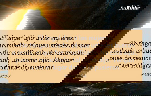 El ángel dijo a las mujeres: No tengan miedo; sé que ustedes buscan a Jesús, el que fue crucificado. No está aquí, pues ha resucitado, tal como dijo. Vengan a ver el lugar donde lo pusieron. (Mateo 28:5-6)
