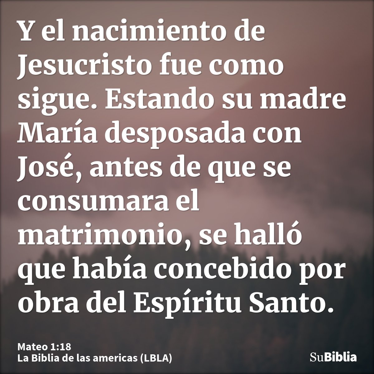 Y el nacimiento de Jesucristo fue como sigue. Estando su madre María desposada con José, antes de que se consumara el matrimonio, se halló que había concebido p...