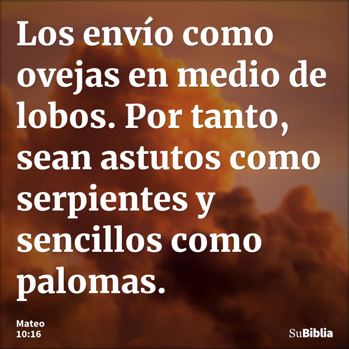 Los envío como ovejas en medio de lobos. Por tanto, sean astutos como serpientes y sencillos como palomas. --- Mateo 10:16