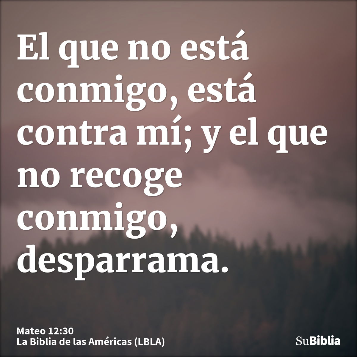 El que no está conmigo está contra mí» (Mt 12: 30, Lc 11: 23