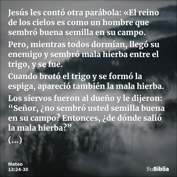 Jesús les contó otra parábola: «El reino de los cielos es como un hombre que sembró buena semilla en su campo. Pero, mientras todos dormían, llegó su enemigo y... --- Mateo 13:24