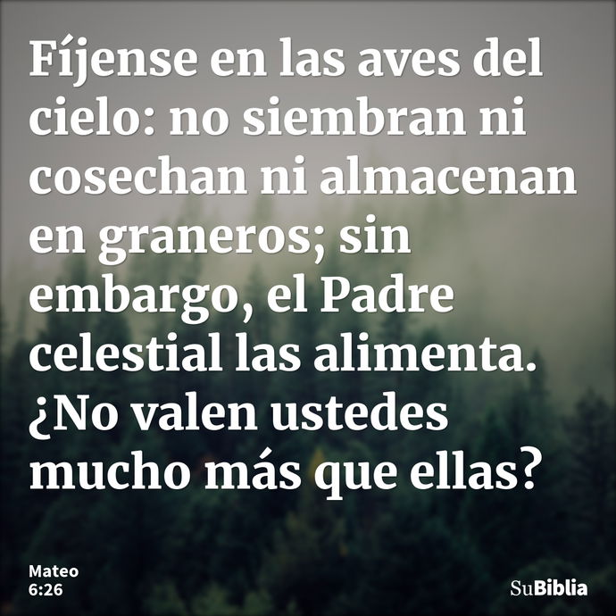 Fíjense en las aves del cielo: no siembran ni cosechan ni almacenan en graneros; sin embargo, el Padre celestial las alimenta. ¿No valen ustedes mucho más que e... --- Mateo 6:26