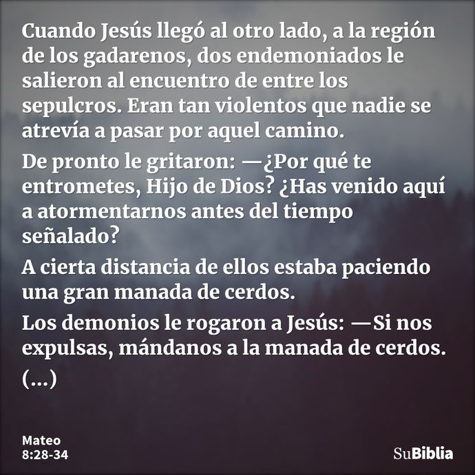 Cuando Jesús llegó al otro lado, a la región de los gadarenos, dos endemoniados le salieron al encuentro de entre los sepulcros. Eran tan violentos que nadie se... --- Mateo 8:28