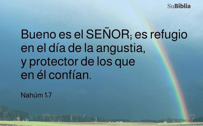 Bueno es el Señor; es refugio en el día de la angustia, y protector de los que en él confían. (Nahúm 1:7)
