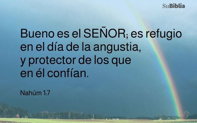 Bueno es el Señor; es refugio en el día de la angustia y protector de los que en él confían. (Nahúm 1:7)