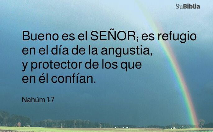 Bueno es el Señor; es refugio en el día de la angustia y conoce a los que en él confían. (Nahúm 1:7)