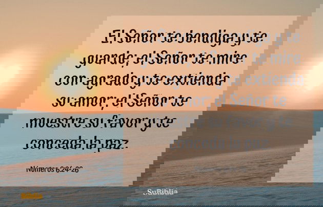 El Señor te bendiga y te guarde; el Señor te mire con agrado y te extienda su amor; el Señor te muestre su favor y te conceda la paz. (Números 6:24-26)