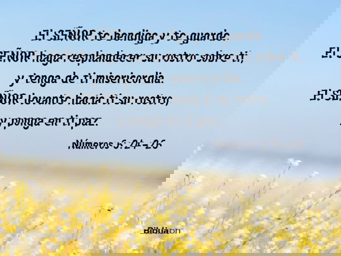 El SEÑOR te bendiga y te guarde. El SEÑOR haga resplandecer su rostro sobre ti, y tenga de ti misericordia. El SEÑOR levante hacia ti su rostro, y ponga en ti paz. (Números 6:24-26)