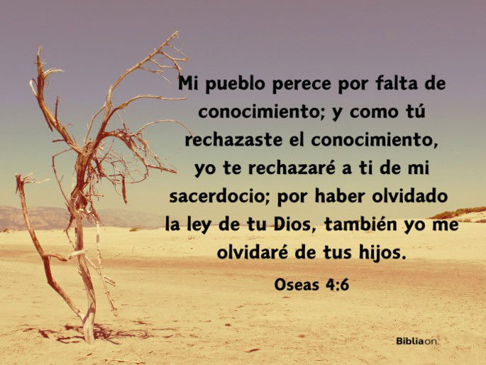 Mi pueblo perece por falta de conocimiento; y como tú rechazaste el conocimiento, yo te rechazaré a ti de mi sacerdocio; por haber olvidado la ley de tu Dios, también yo me olvidaré de tus hijos. (Oseas 4:6)