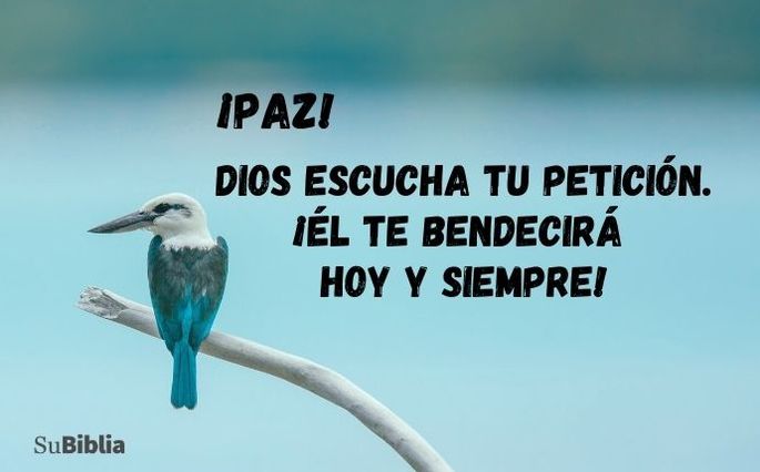 ¡Paz! Dios escucha tu petición. ¡Él te bendecirá hoy y siempre!