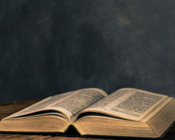 Prédica sobre José: la elección de vivir sin amargura el propósito de Dios