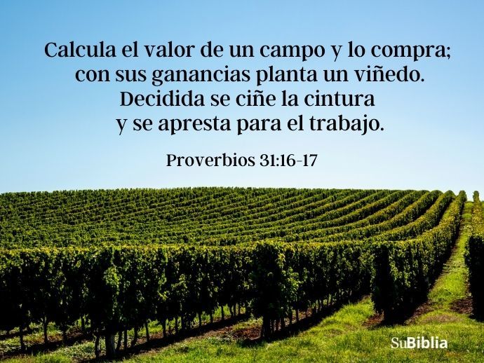 Calcula el valor de un campo y lo compra; con sus ganancias planta un viñedo. Decidida se ciñe la cintura y se apresta para el trabajo. (Proverbios 31:16-17)