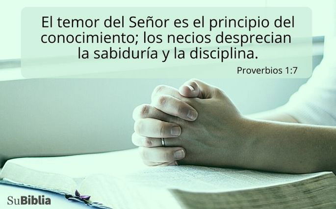 El temor del Señor es el principio del conocimiento; los necios desprecian la sabiduría y la disciplina. (Proverbios 1:7)