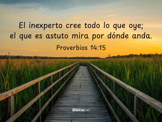 El inexperto cree todo lo que oye; el que es astuto mira por dónde anda. (Proverbios 14:15)