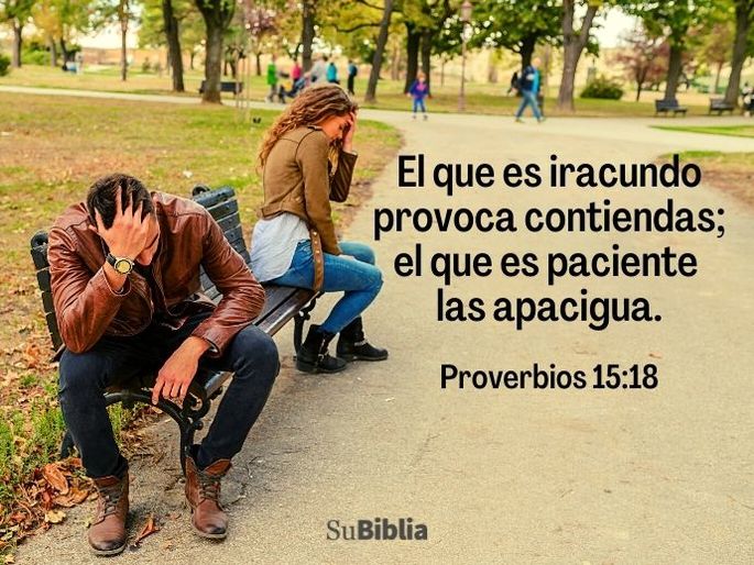 El que es iracundo provoca contiendas; el que es paciente las apacigua. (Proverbios 15:18)