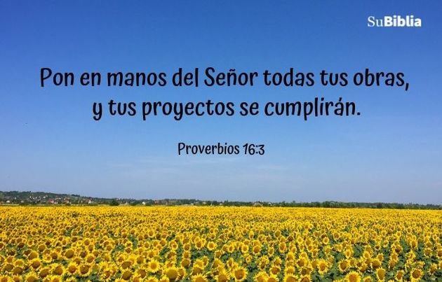 Pon en manos del Señor todas tus obras, y tus proyectos se cumplirán. (Proverbios 16:3)