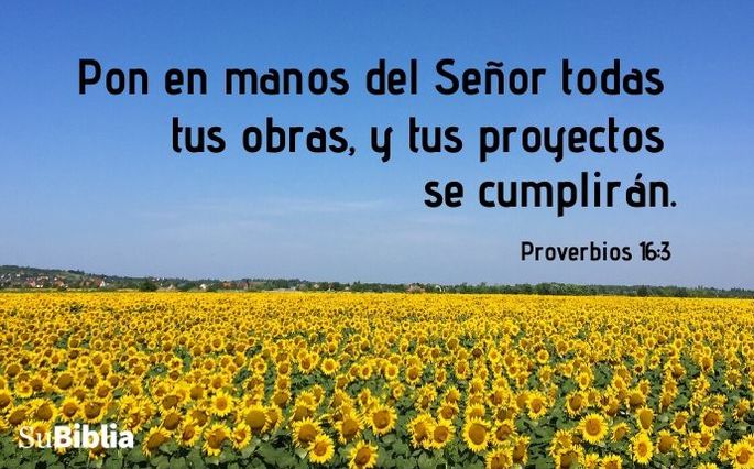 Pon en manos del Señor todas tus obras, y tus proyectos se cumplirán. (Proverbios 16:3)