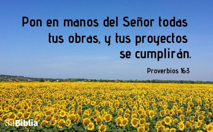 Pon en manos del Señor todas tus obras, y tus proyectos se cumplirán. (Proverbios 16:3)