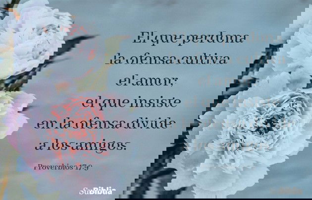 El que perdona la ofensa cultiva el amor; el que insiste en la ofensa divide a los amigos. (Proverbios 17:9)