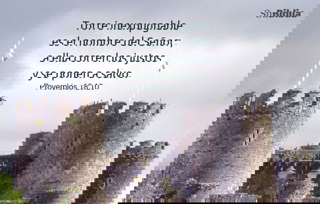 Torre inexpugnable es el nombre del Señor; a ella corren los justos y se ponen a salvo. - Proverbios 18:10