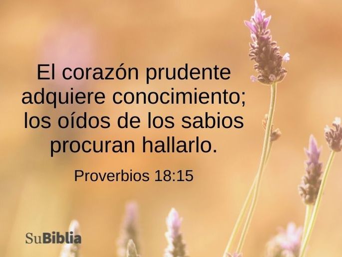 El corazón prudente adquiere conocimiento; los oídos de los sabios procuran hallarlo. (Proverbios 18:15)